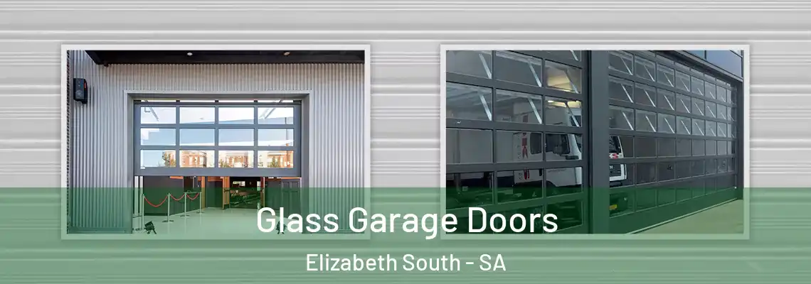  Glass Garage Doors Elizabeth South - SA