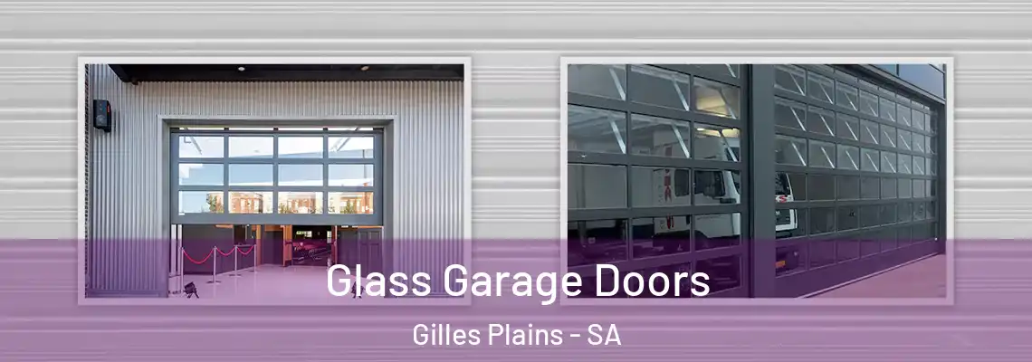  Glass Garage Doors Gilles Plains - SA