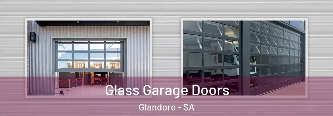  Glass Garage Doors Glandore - SA