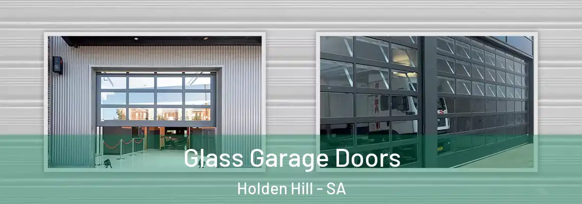  Glass Garage Doors Holden Hill - SA