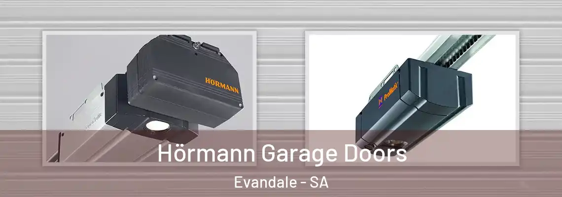  Hörmann Garage Doors Evandale - SA
