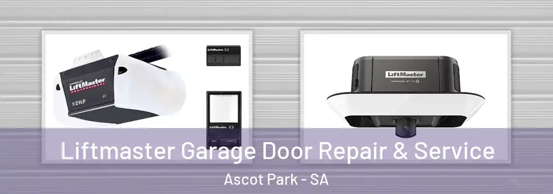  Liftmaster Garage Door Repair & Service Ascot Park - SA
