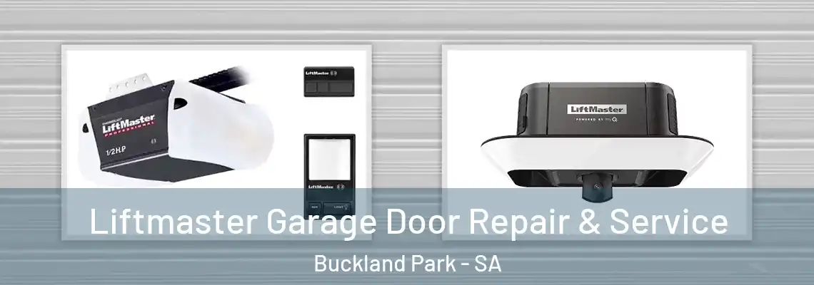  Liftmaster Garage Door Repair & Service Buckland Park - SA