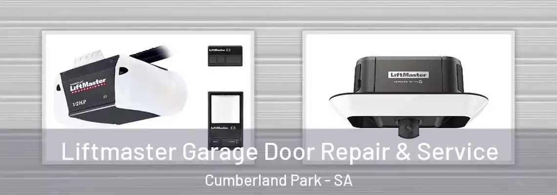  Liftmaster Garage Door Repair & Service Cumberland Park - SA