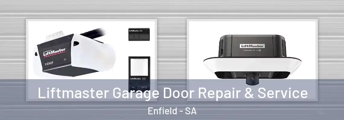 Liftmaster Garage Door Repair & Service Enfield - SA