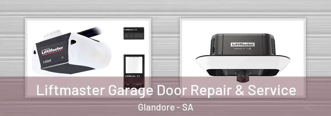  Liftmaster Garage Door Repair & Service Glandore - SA