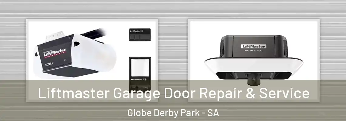  Liftmaster Garage Door Repair & Service Globe Derby Park - SA