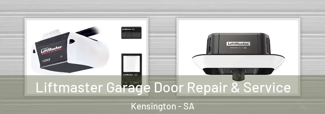  Liftmaster Garage Door Repair & Service Kensington - SA
