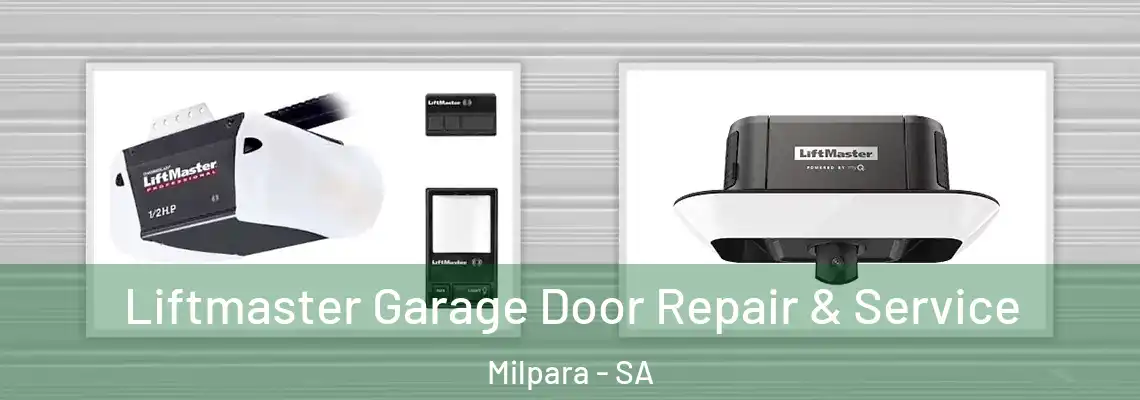  Liftmaster Garage Door Repair & Service Milpara - SA