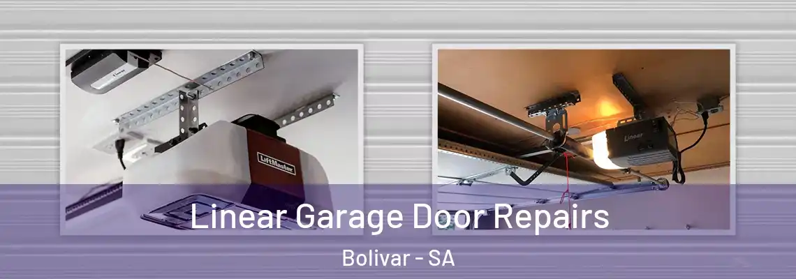  Linear Garage Door Repairs Bolivar - SA