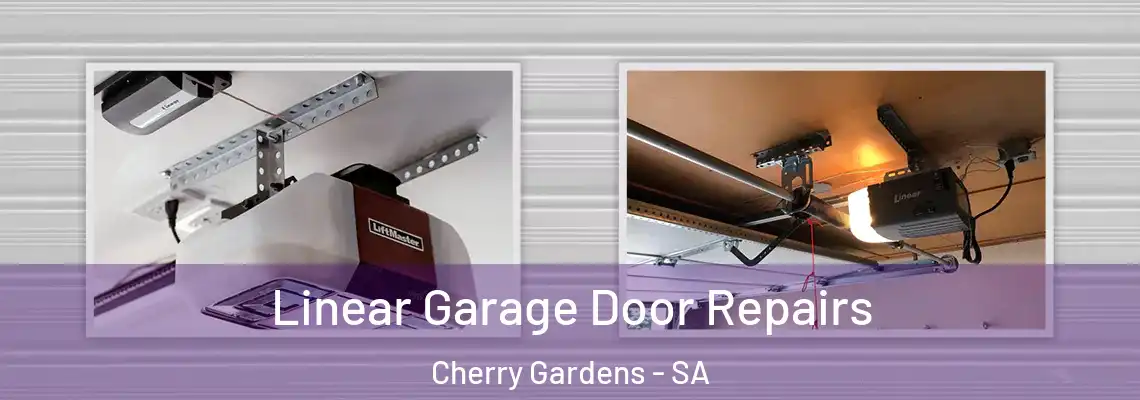  Linear Garage Door Repairs Cherry Gardens - SA