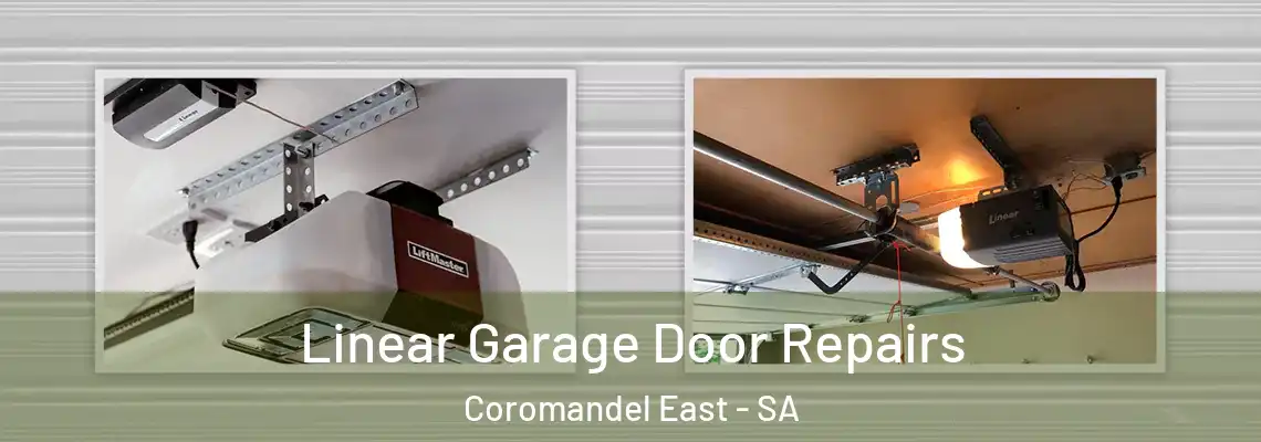  Linear Garage Door Repairs Coromandel East - SA