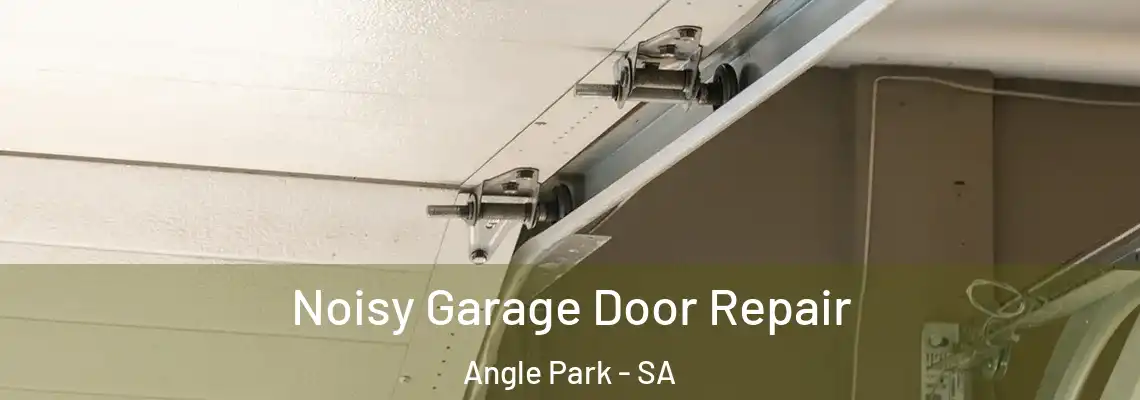  Noisy Garage Door Repair Angle Park - SA