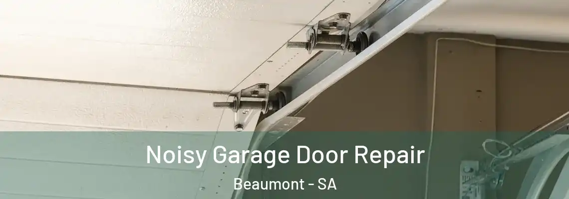  Noisy Garage Door Repair Beaumont - SA