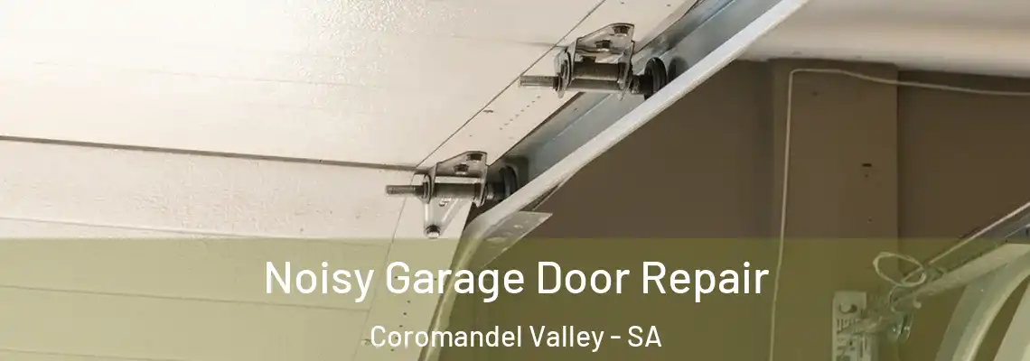  Noisy Garage Door Repair Coromandel Valley - SA