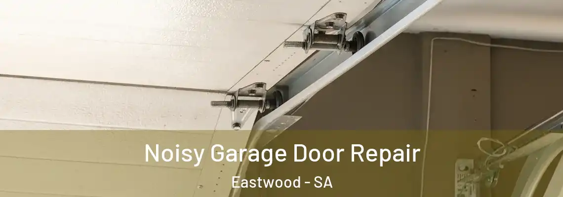  Noisy Garage Door Repair Eastwood - SA
