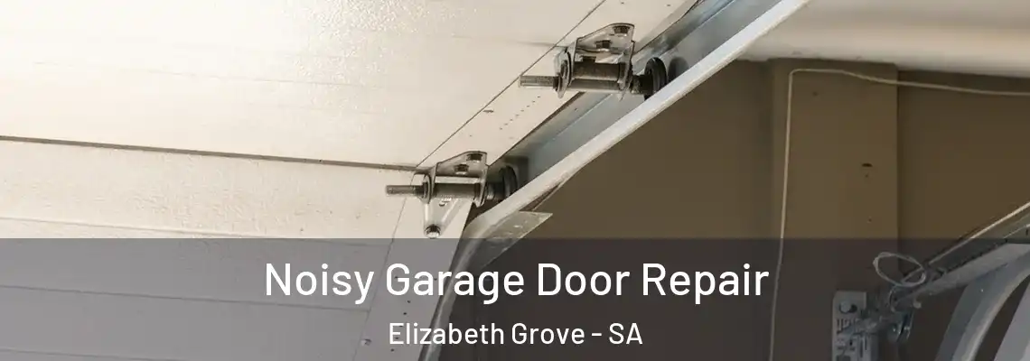  Noisy Garage Door Repair Elizabeth Grove - SA