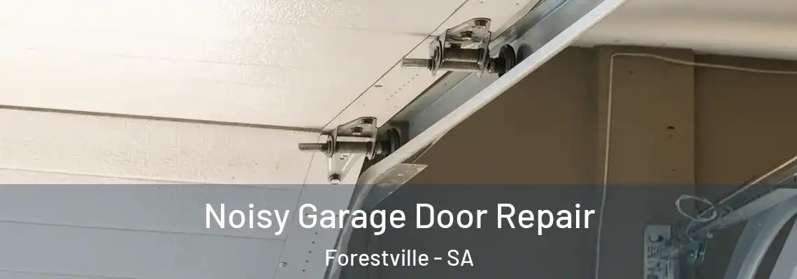  Noisy Garage Door Repair Forestville - SA