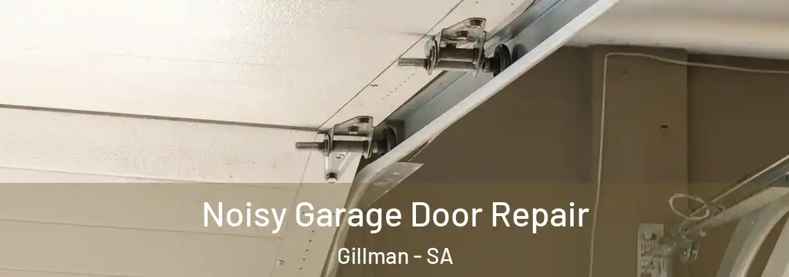  Noisy Garage Door Repair Gillman - SA