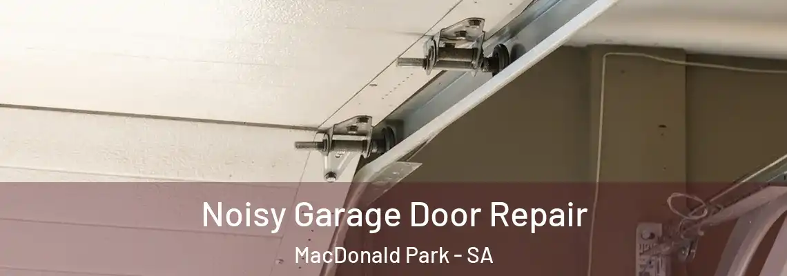  Noisy Garage Door Repair MacDonald Park - SA