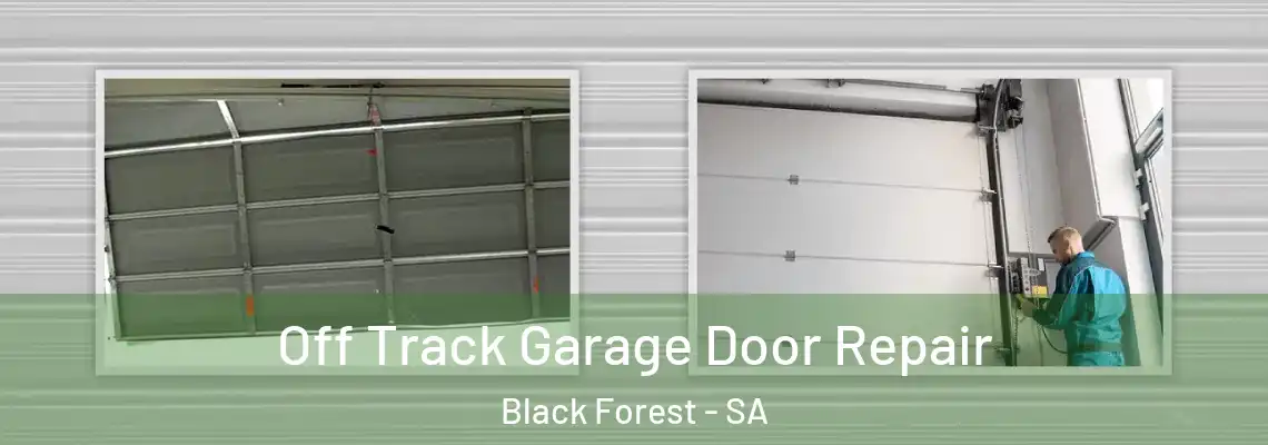  Off Track Garage Door Repair Black Forest - SA