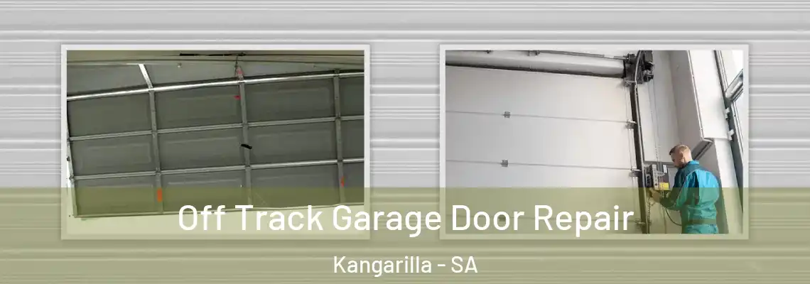  Off Track Garage Door Repair Kangarilla - SA