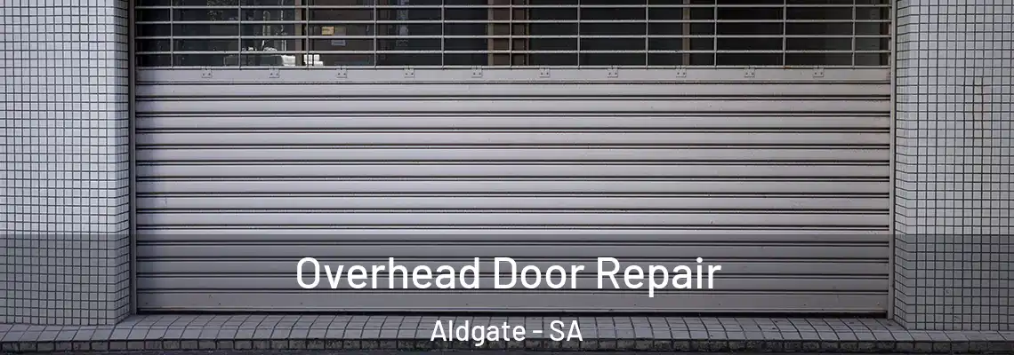  Overhead Door Repair Aldgate - SA