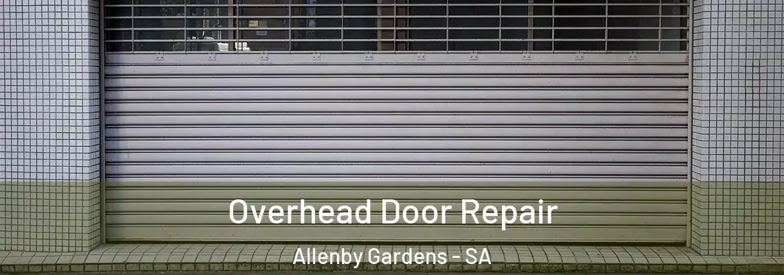  Overhead Door Repair Allenby Gardens - SA