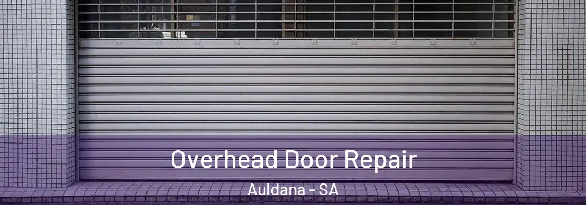  Overhead Door Repair Auldana - SA