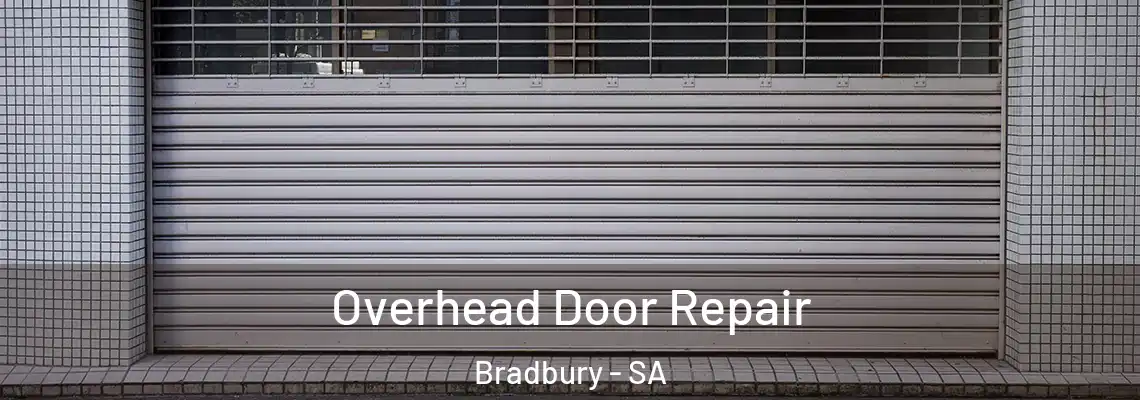  Overhead Door Repair Bradbury - SA