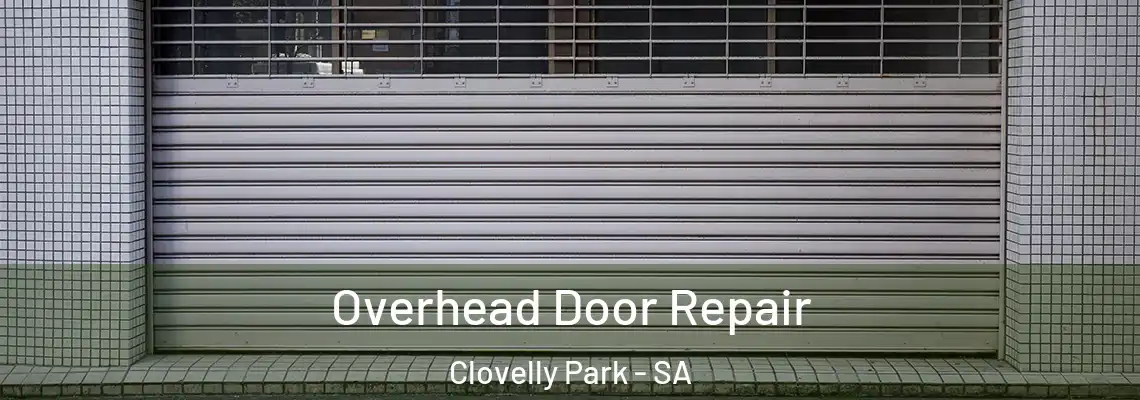  Overhead Door Repair Clovelly Park - SA