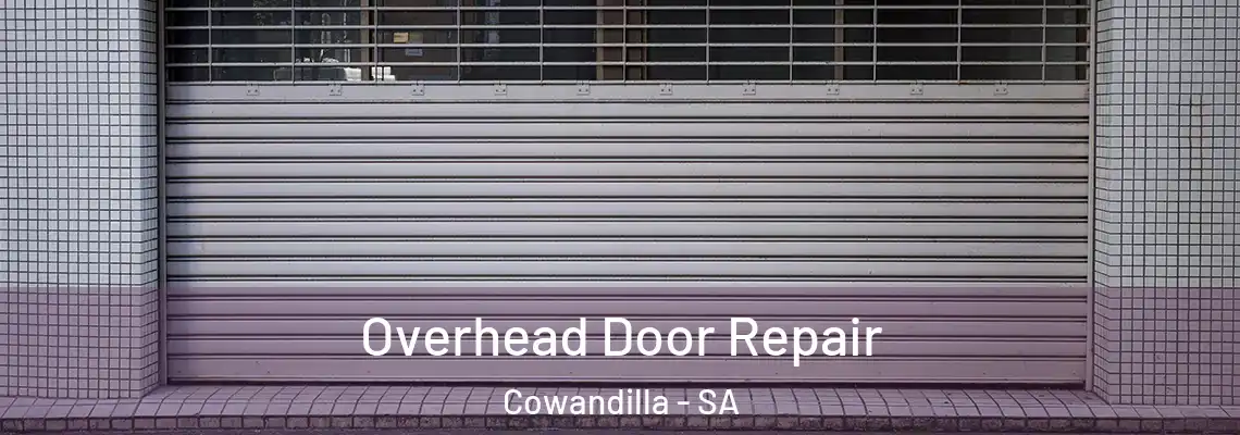  Overhead Door Repair Cowandilla - SA