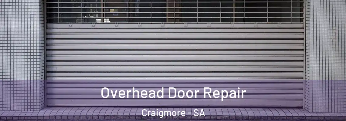  Overhead Door Repair Craigmore - SA