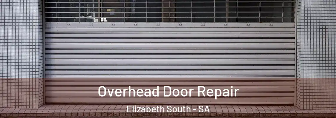  Overhead Door Repair Elizabeth South - SA