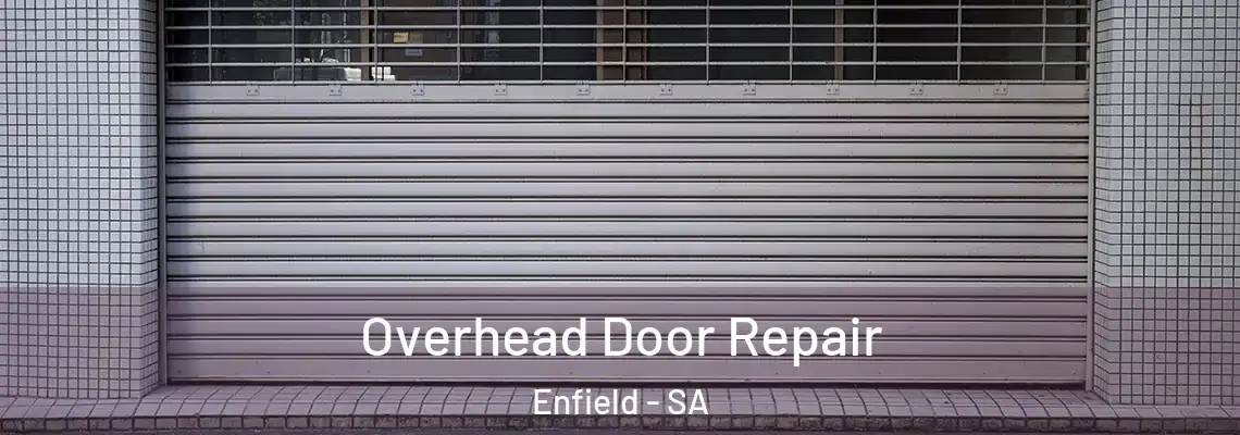  Overhead Door Repair Enfield - SA
