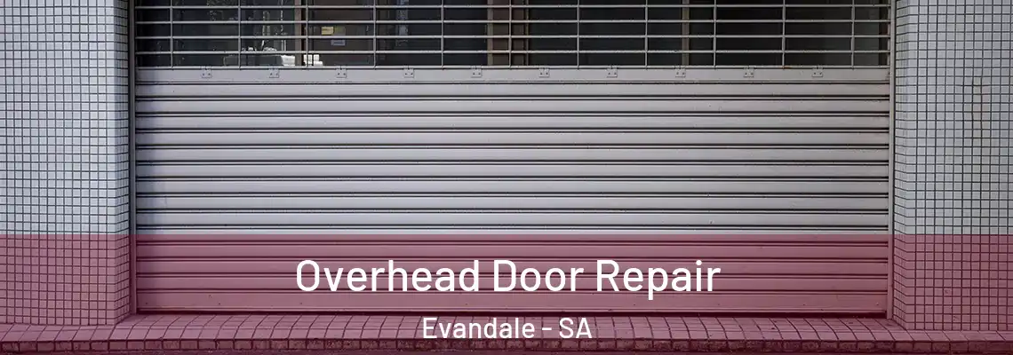  Overhead Door Repair Evandale - SA