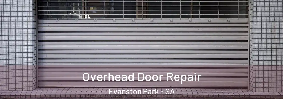 Overhead Door Repair Evanston Park - SA