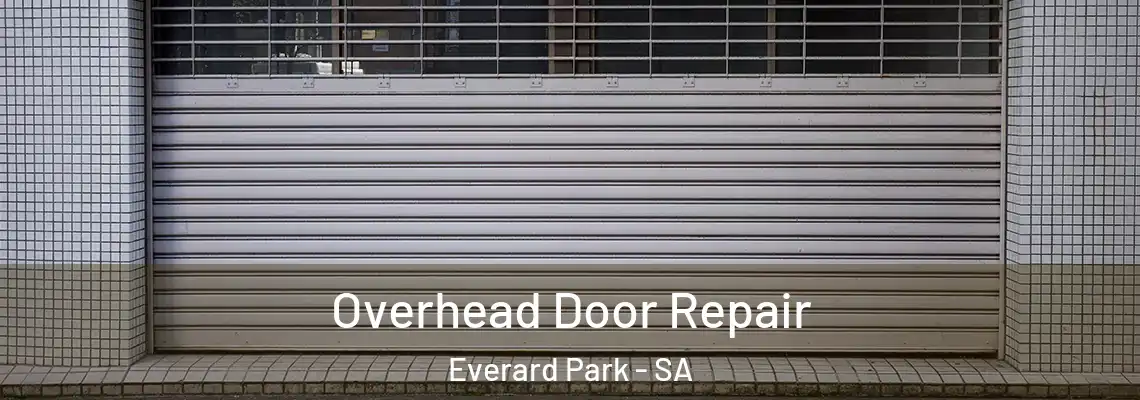  Overhead Door Repair Everard Park - SA