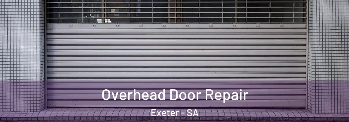  Overhead Door Repair Exeter - SA