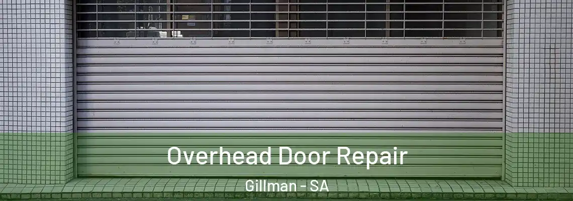  Overhead Door Repair Gillman - SA