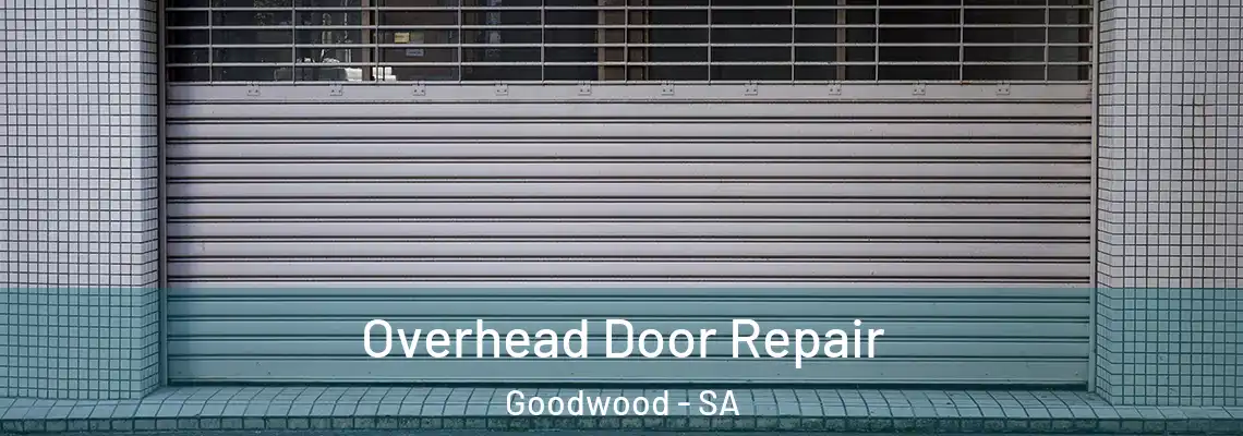  Overhead Door Repair Goodwood - SA