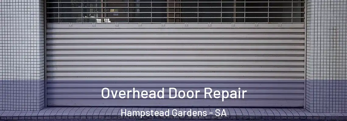  Overhead Door Repair Hampstead Gardens - SA