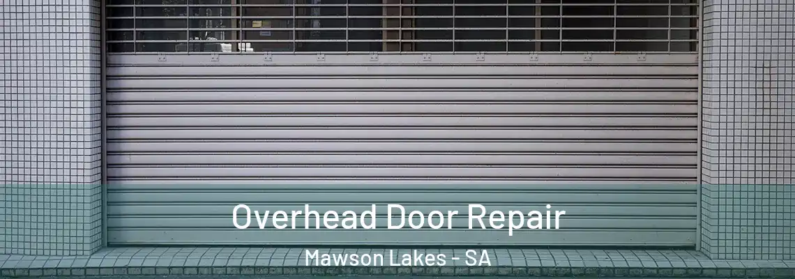  Overhead Door Repair Mawson Lakes - SA