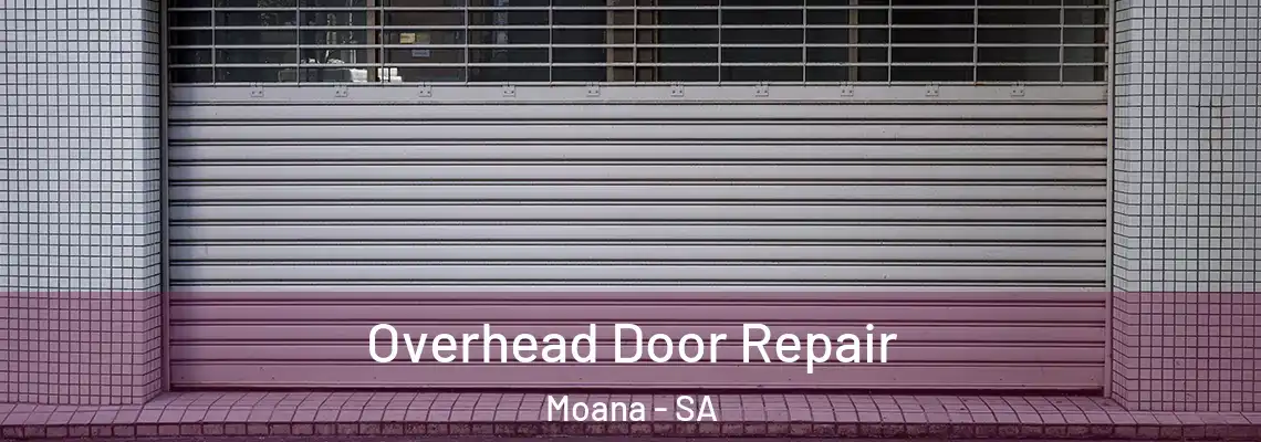  Overhead Door Repair Moana - SA