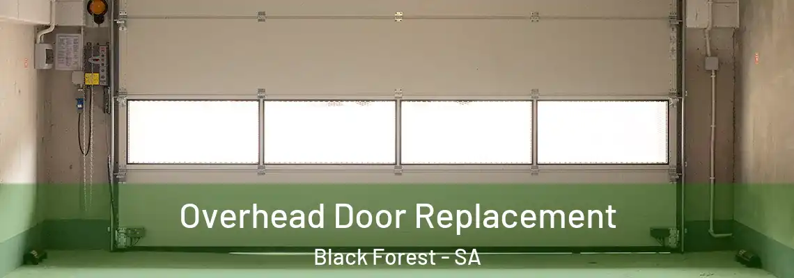  Overhead Door Replacement Black Forest - SA