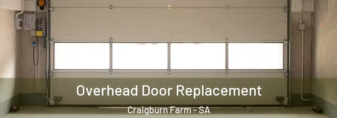  Overhead Door Replacement Craigburn Farm - SA