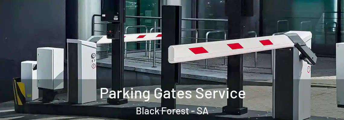  Parking Gates Service Black Forest - SA