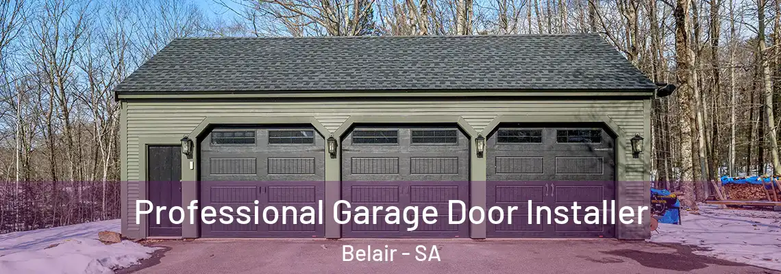  Professional Garage Door Installer Belair - SA