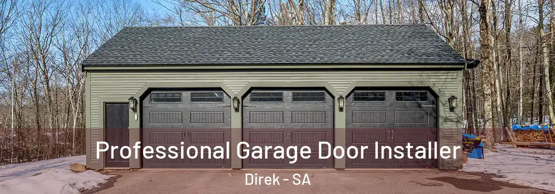  Professional Garage Door Installer Direk - SA