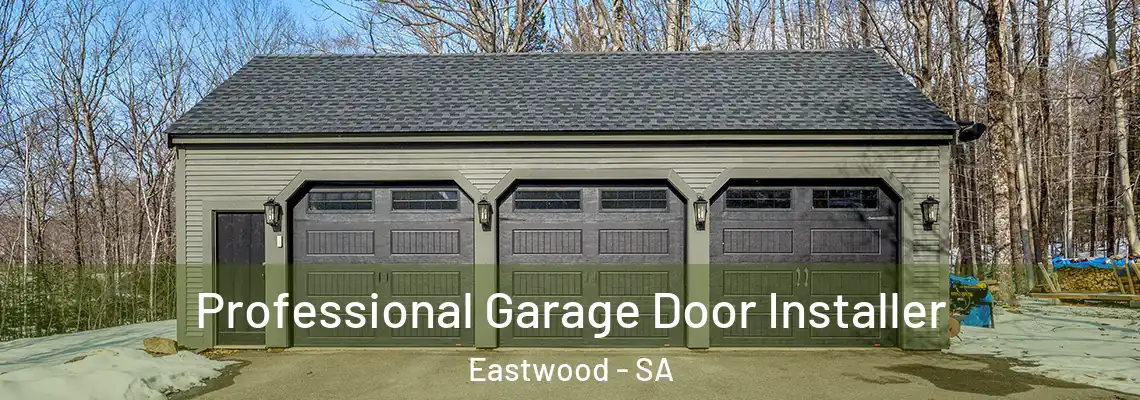  Professional Garage Door Installer Eastwood - SA